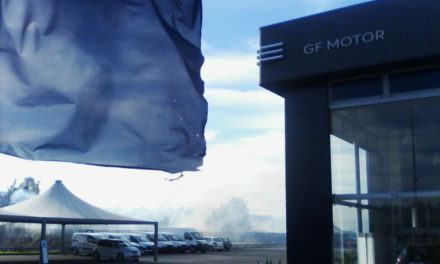 legnochimica autocombustione (24)