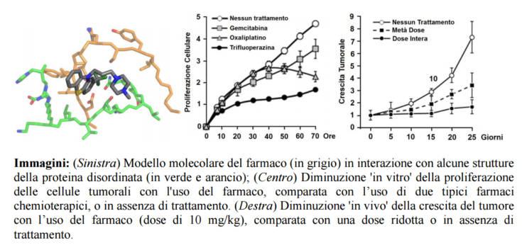 studio cnr tumore pancreas