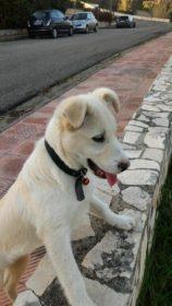 17392166_10210609834915357_612903107_n