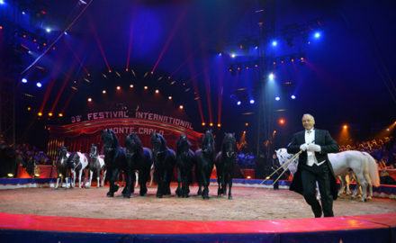 Vinicio Togni cavalleria