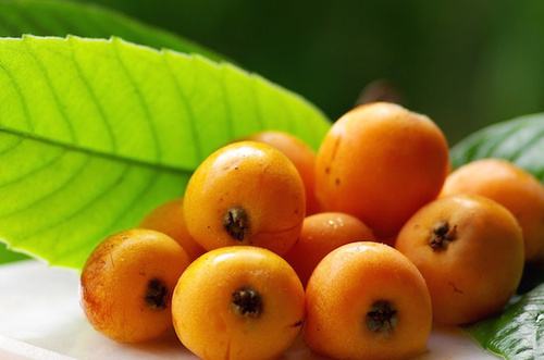nespole