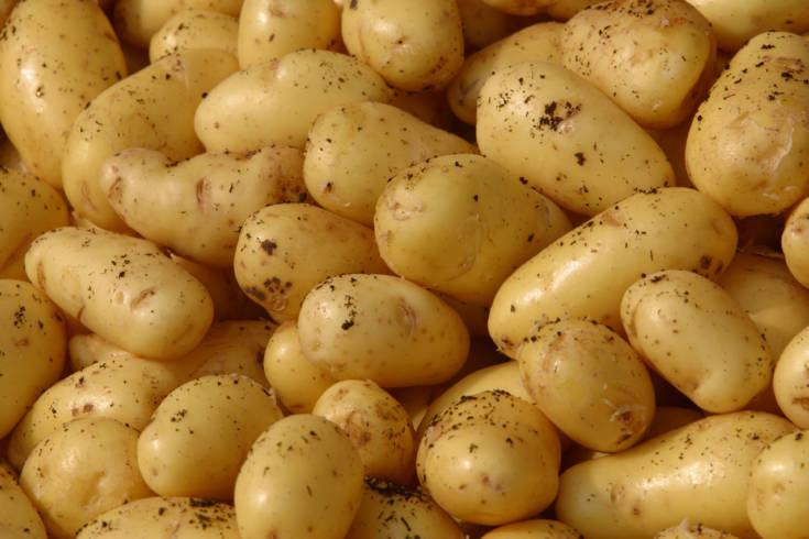 patate
