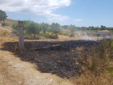 15631_20170726_124702