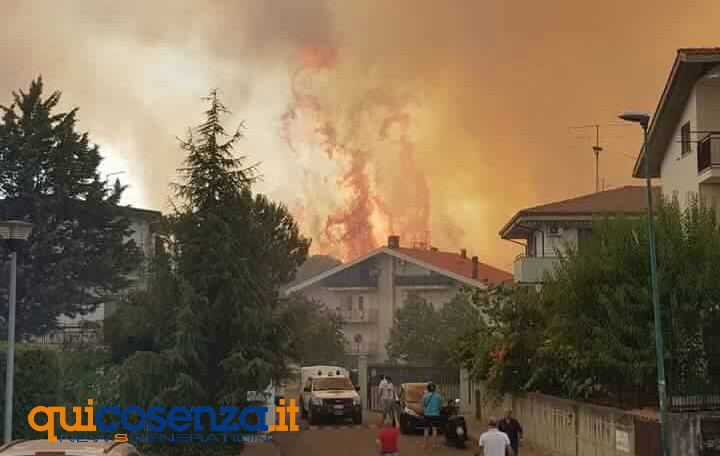 rovito incendio