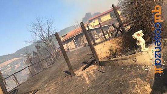Incendio Luzzi5