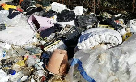 discarica vaglio lise 3