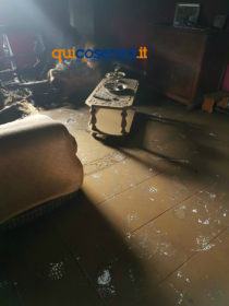 intimidazioneagronomologo2