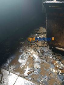 intimidazioneagronomologo4