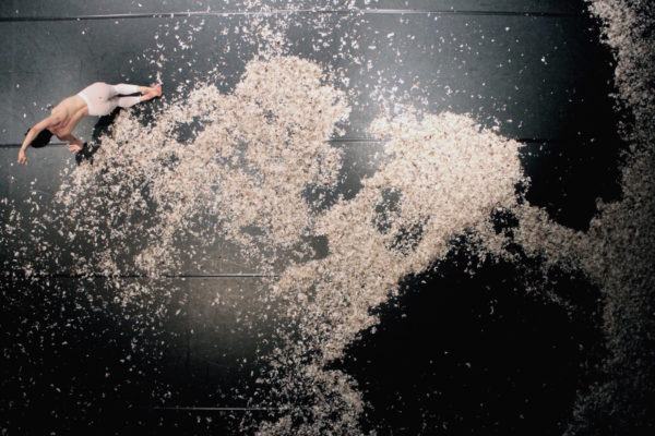 miniballetto_n_1-ph_Angelo_Pedroni-IMG_2114_orizzontale