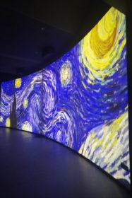 Mostra Van Gogh Alive_Museo Piazza Bilottiok