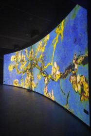 mostra multimediale Van Gogh Alive 2ok