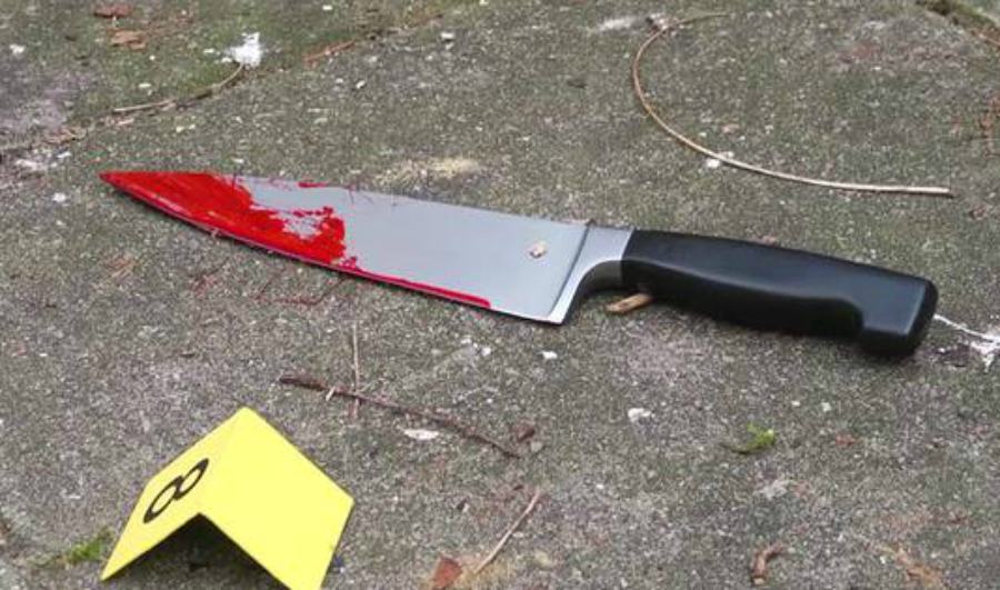 Ferisce con 14 coltellate la convivente arrestato un 18enne QuiCosenza.it Ferisce con 14 coltellate la convivente arrestato un 18enne QuiCosenza.it
