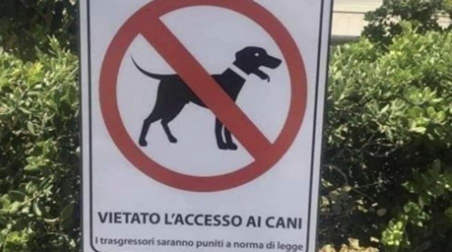 Vietato L Ingresso Ai Cani E Agli Italiani