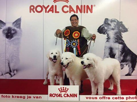 Cosentino Dog Village