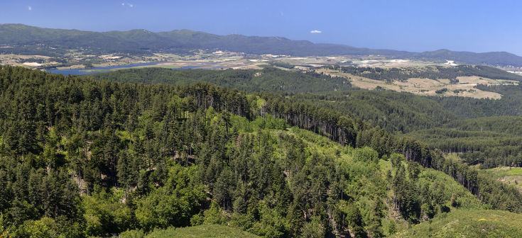parco nazionale della sila