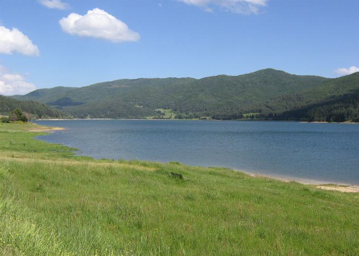 Sila_Lago_Arvo_(Lorica)