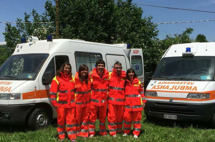ambulanza veterinaria cosenza 02