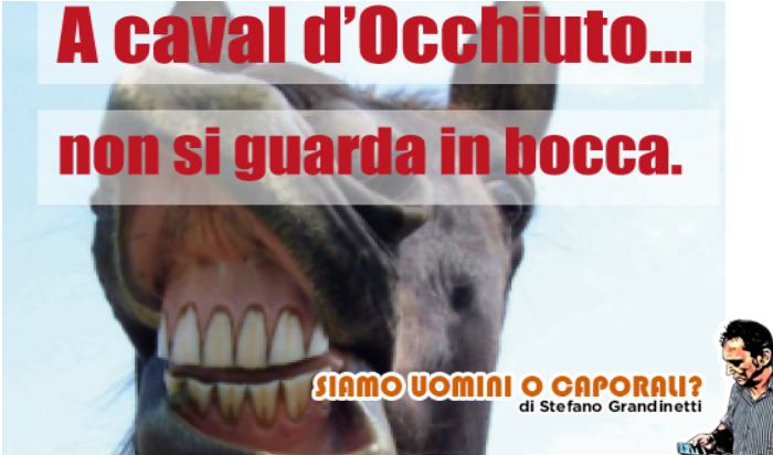 cavallo-grandinetti