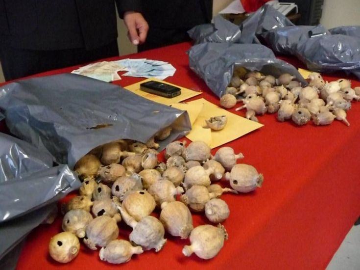 oppio-treno-calabria