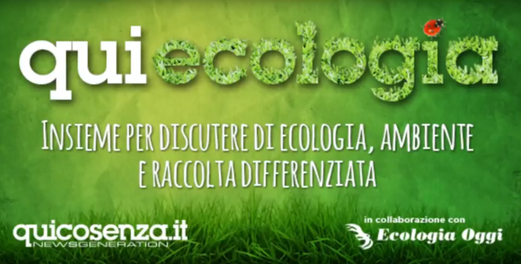 qui ecologia