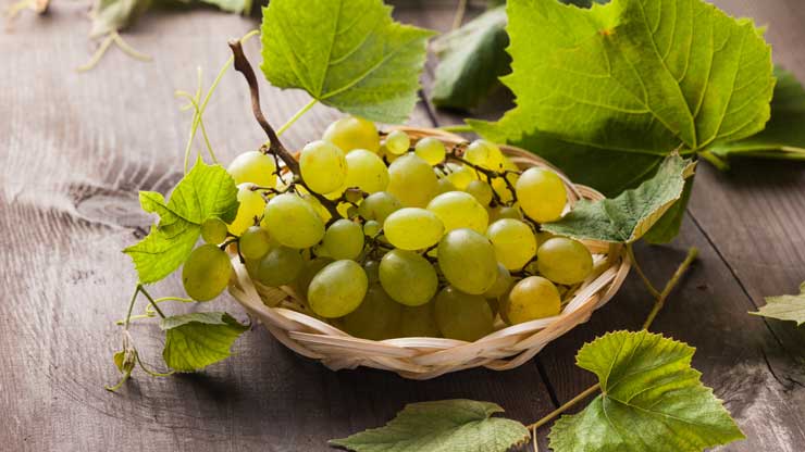 uva-bianca-settembre_740