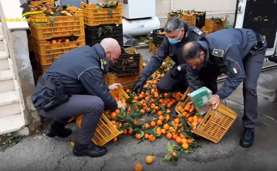 cocaina gdf palermo calabria sicilia cagnolino 3