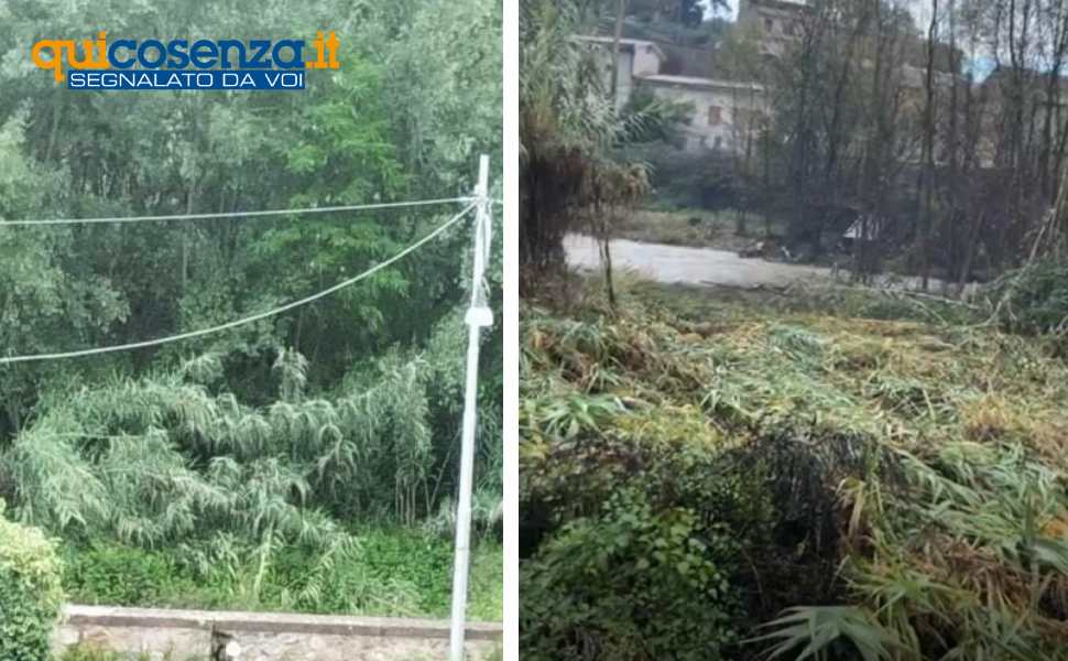 Fiume Busento Cosenza - Via Oberdan 01