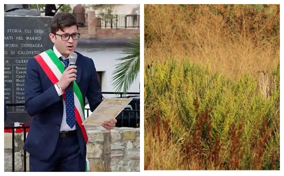 terreni incolti Caloveto - sindaco Umberto Mazza