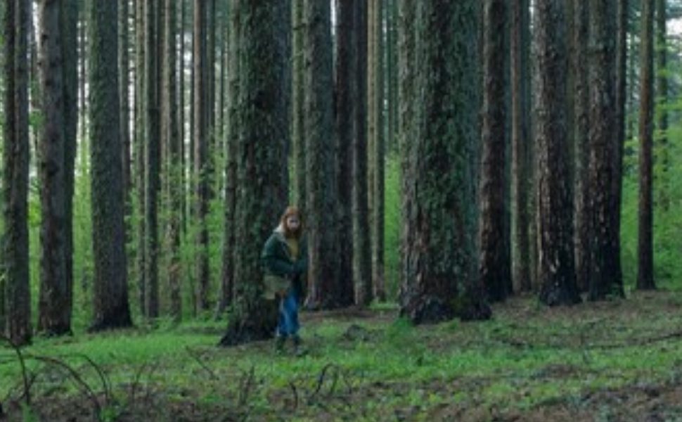 Home Education nella Sila