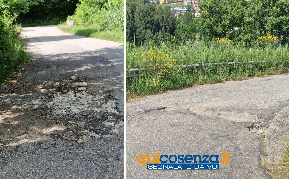 buche contrada san pietro rende