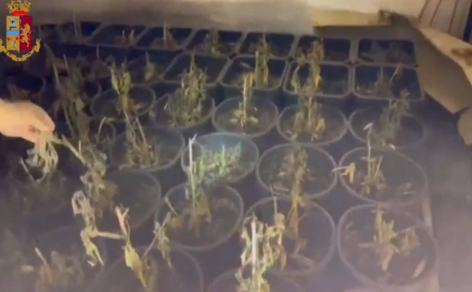 CORIGLIANO-ROSSANO_ MAXI SEQUESTRO