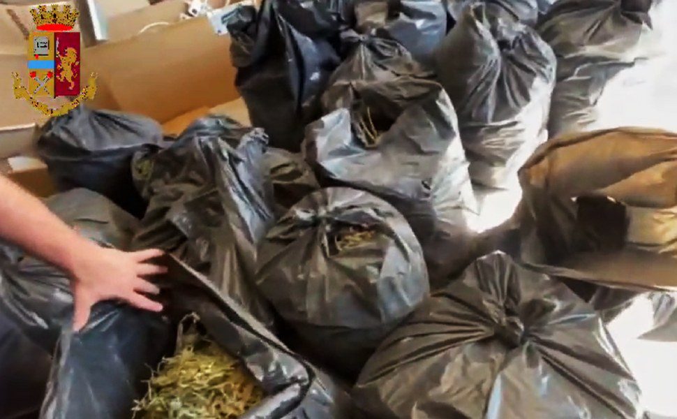 Luzzi capannone marijuana polizia 01