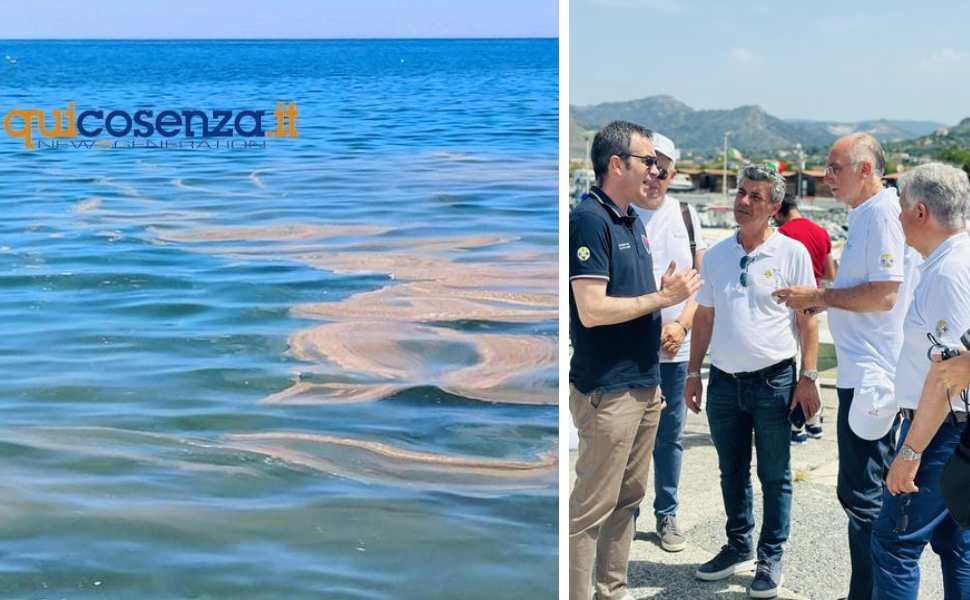 mare sporco - occhiuto e arpacal