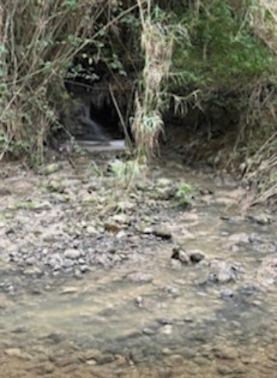 scarico abusivo stadio san vito cosenza 02