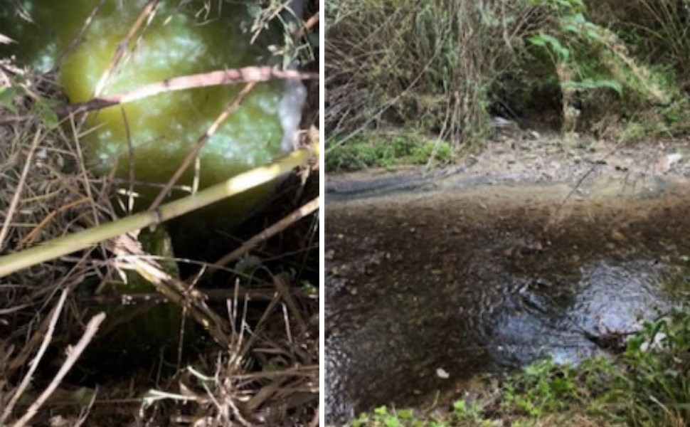 scarico abusivo stadio san vito cosenza