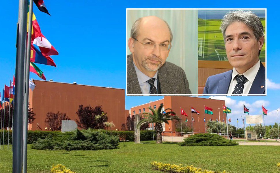 unical Sergeyev e Scarcello