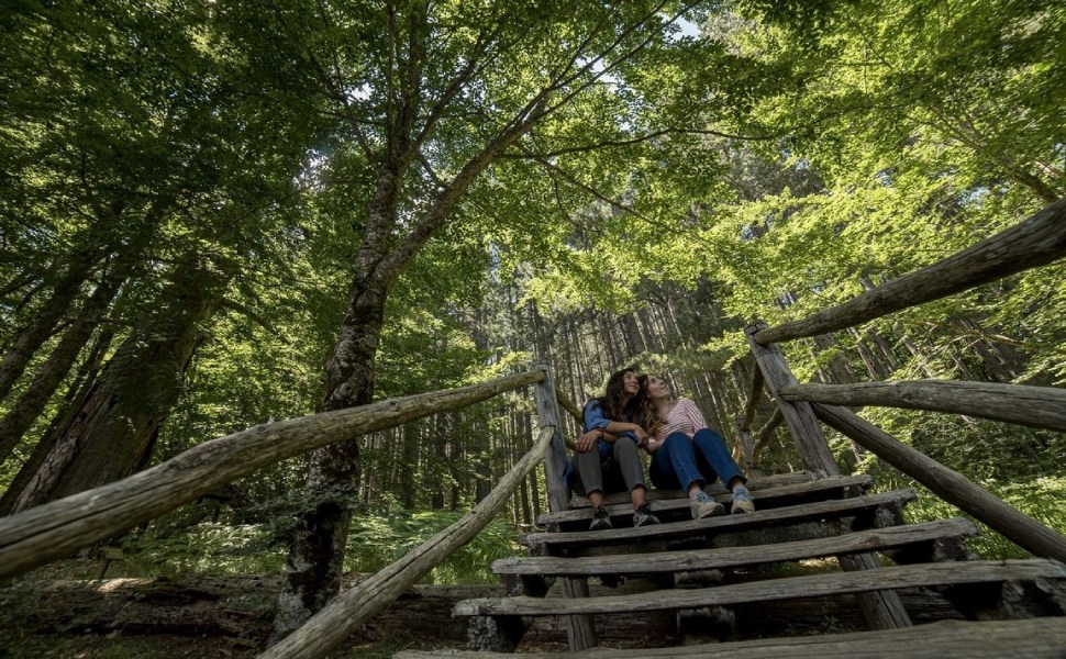 Giganti della Sila, Spezzano della Sila (CS)_Foto Studio Larus_2019 © FAI - Fondo per l'Ambiente Italiano