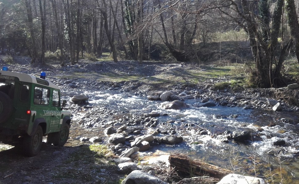 carabinieri forestali fiume generico