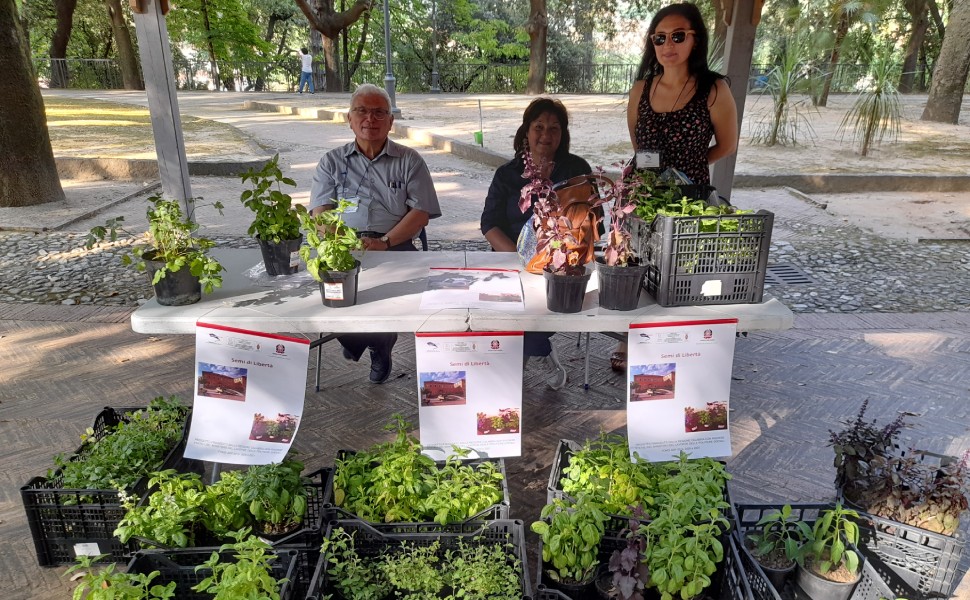 piantine aromatiche progetto carcere cosenza