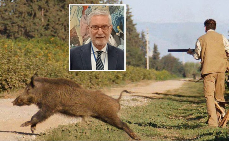 caccia cinghiale - ferdinando laghi