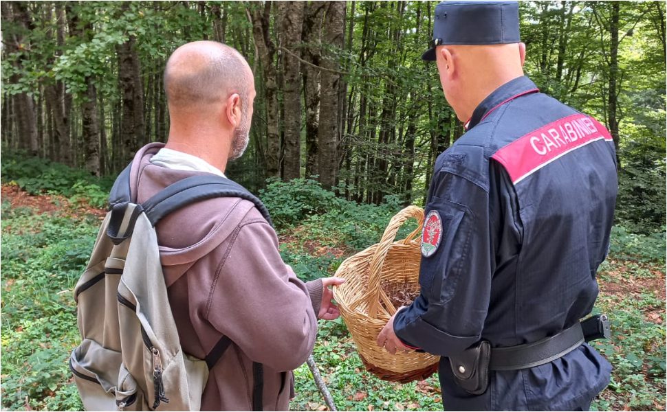 controlli sulla raccolta funghi in sila