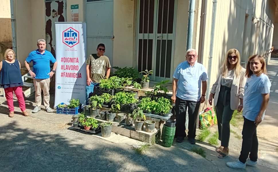 piantine_donate cosenza progetti welfare