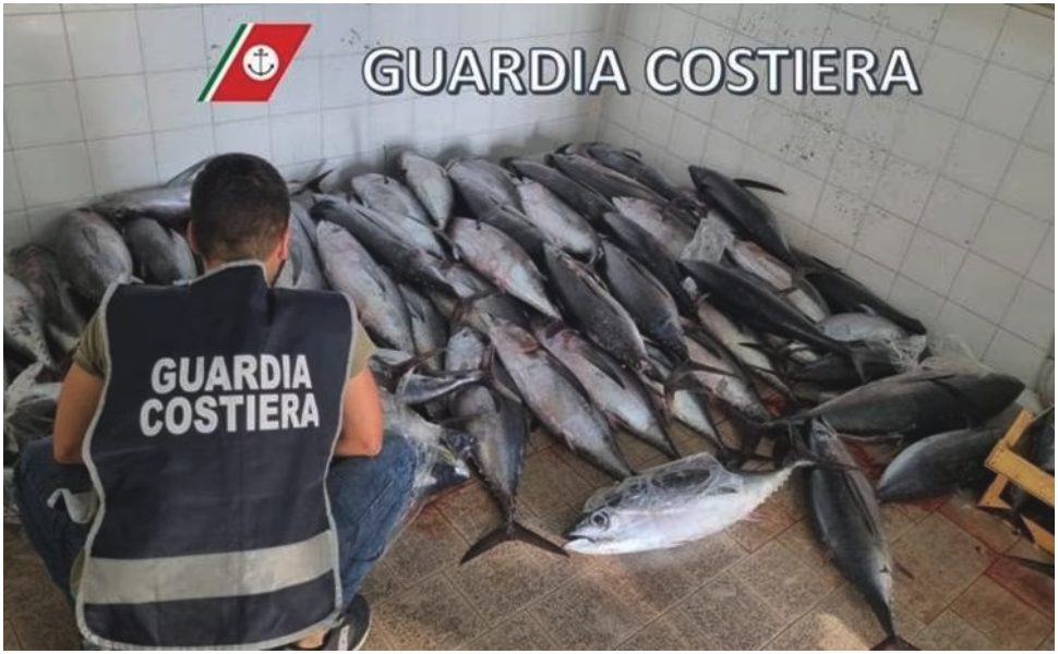 sequestro tonno guardia costiera