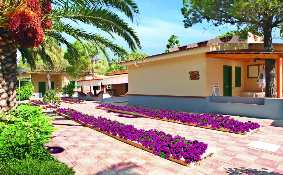 summer-day-santa-maria-del-cedro