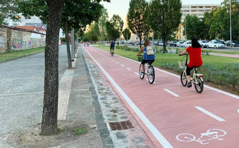 viale mancini cosenza parco