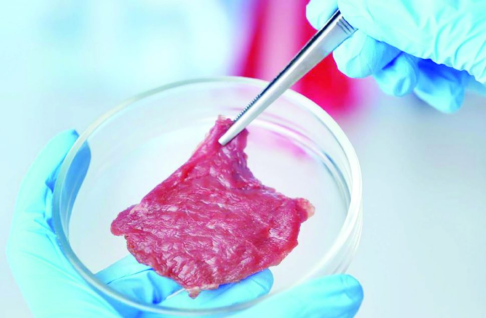 Carne sintetica coltivata
