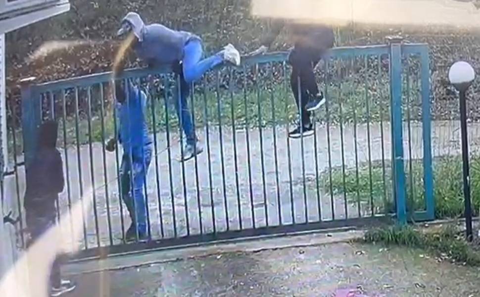 banda mercedes bianca 02