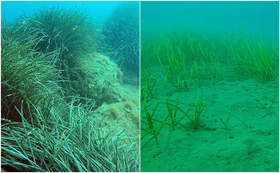 fondali montegiordano