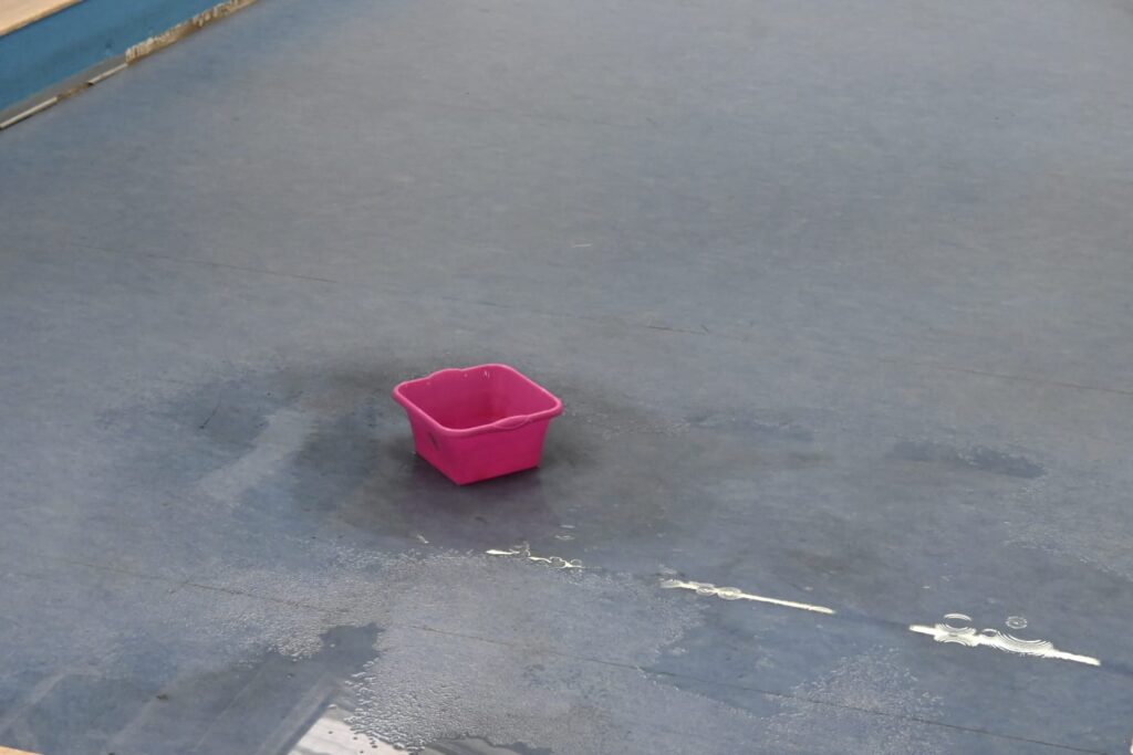 bacinelle nella scuola media a Belvedere