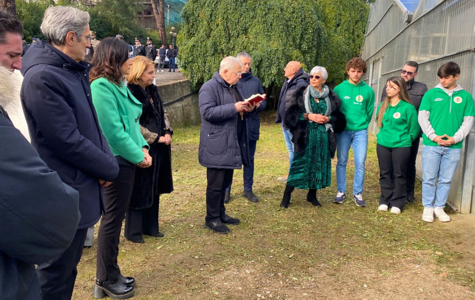 IIS 'Mancini-Tommasi' 